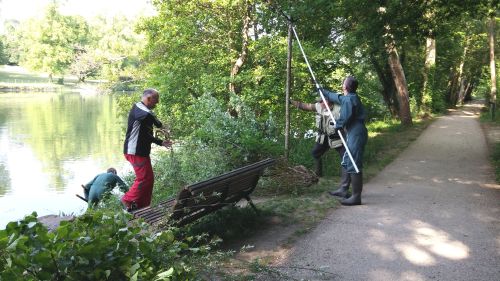 Élagage sur certains poste... 