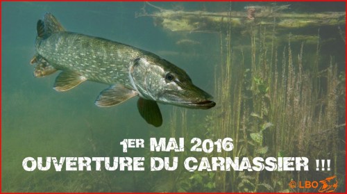 Bonne pêche à tous !!!